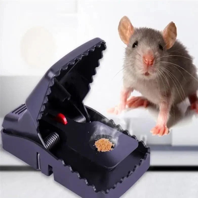 Mouse Trap (৫ পিস)